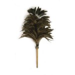 feather duster